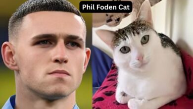 Phil Foden Cat