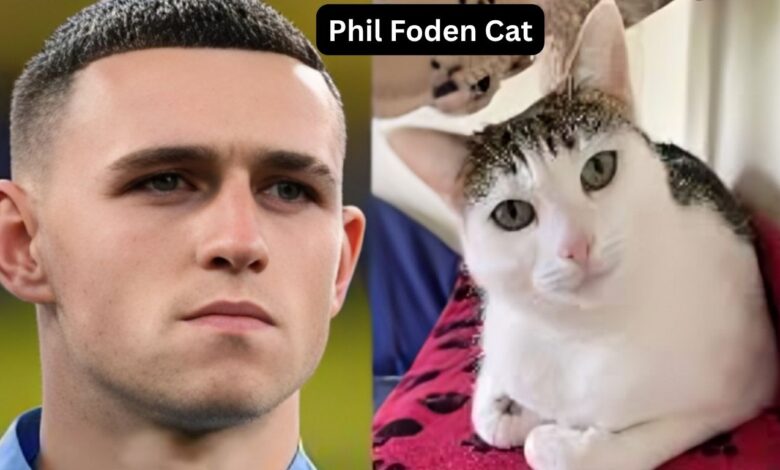 Phil Foden Cat
