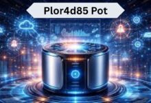 Plor4d85 Pot
