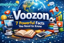 Voozon
