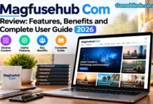 Magfusehub Com