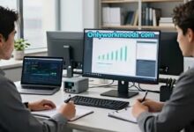 Onlyworkmoods com