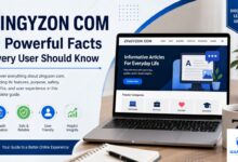 Zingyzon Com