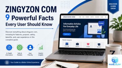 Zingyzon Com